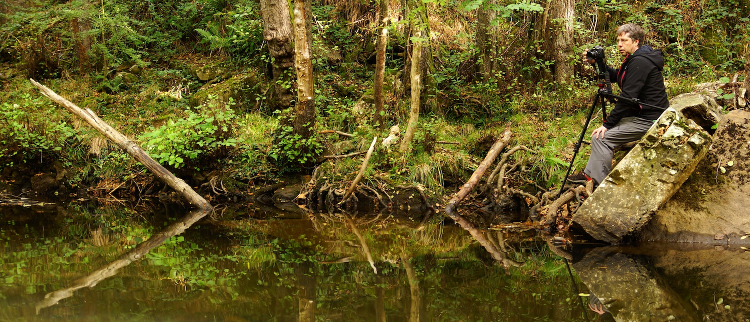 Fotografiando en la naturaleza, paisaje, ríos, bosque