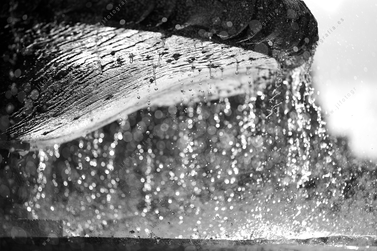 Detalle de la fuente de Moyua.