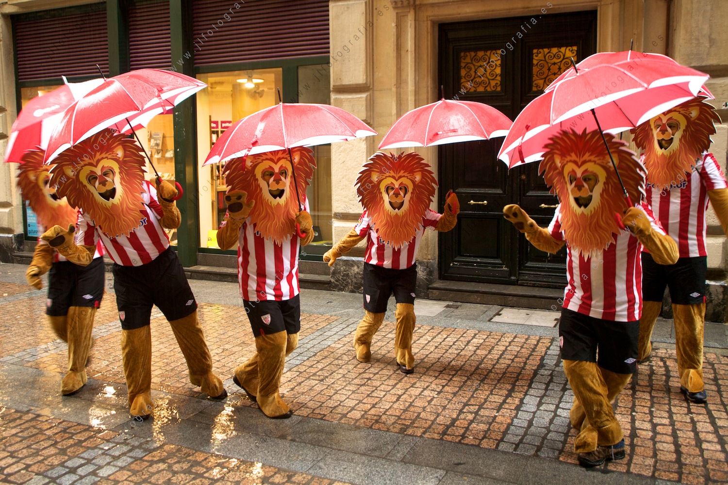 Los leones del Athletic.