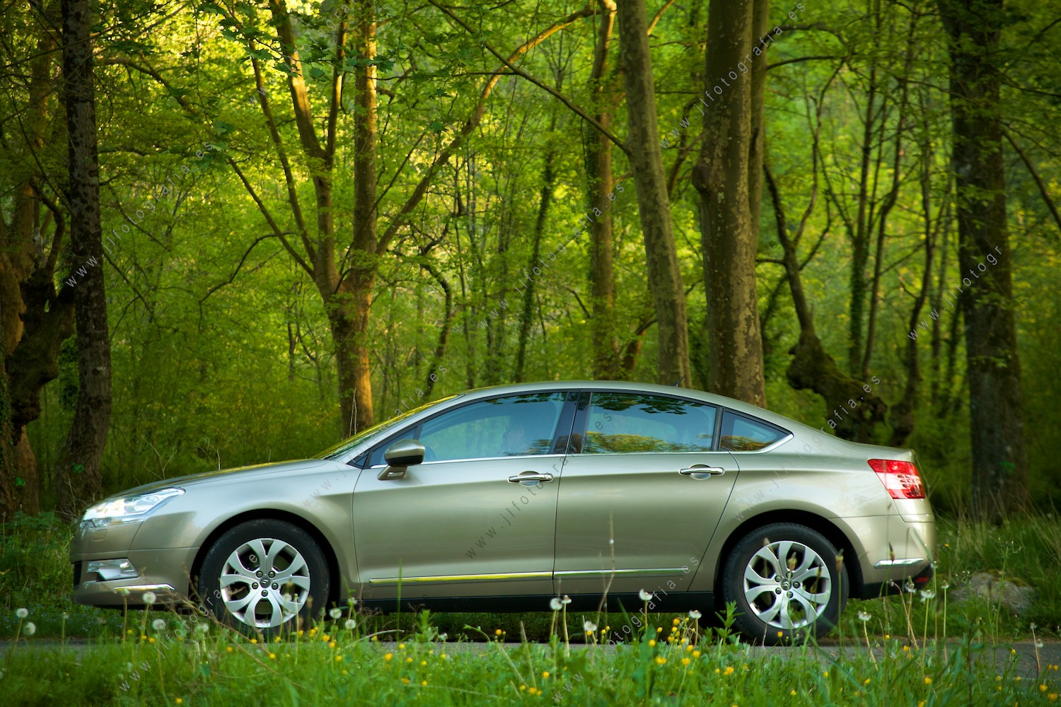 plano lateral completo del coche, parado dentro del bosque