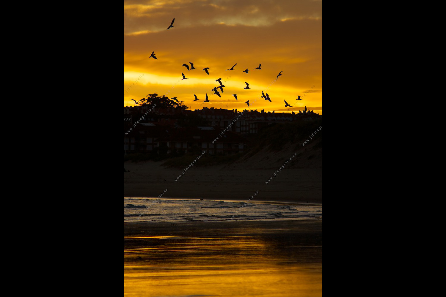 Bandada de pájaros por el cielo naranja del amanecer en Noja