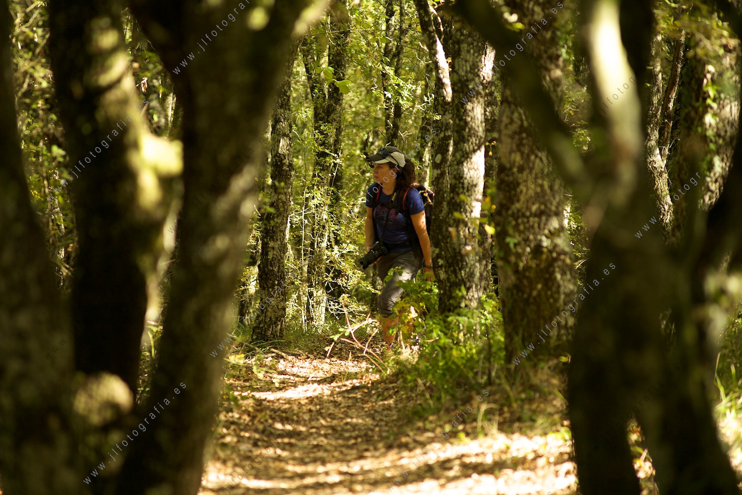 retrato de socia de Denbora entre los arboles del bosque de Izki
