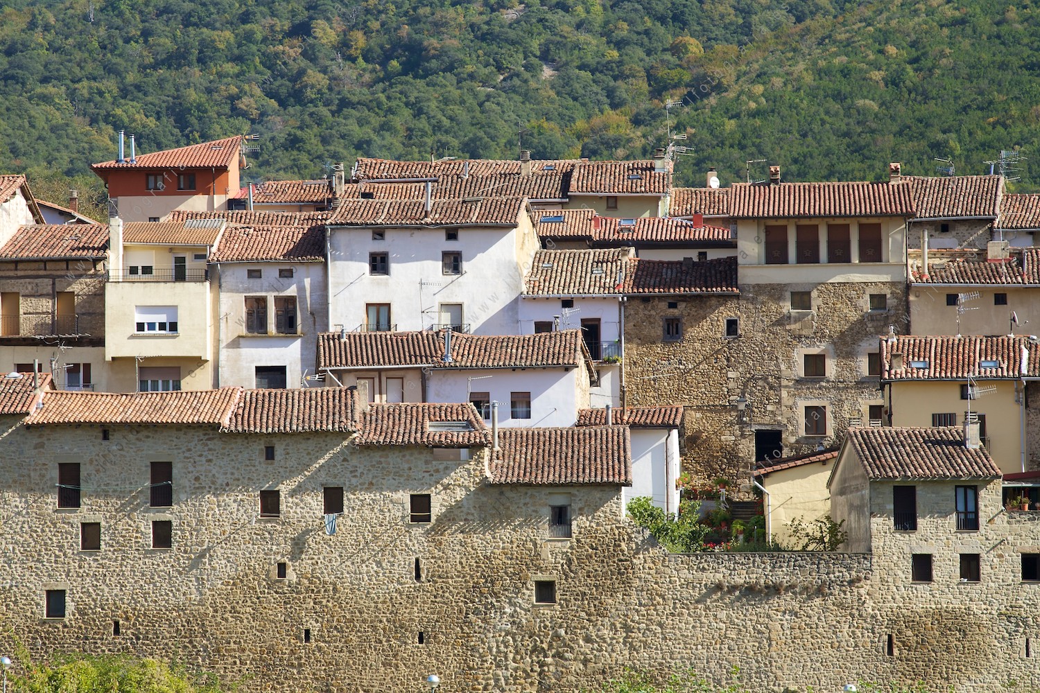 Detalle de las casas de Antoñana, pueblo de Araba