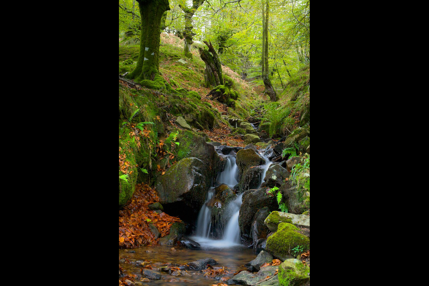 Cascada en el bosque de Itxina, parque natural de Gorbeia
