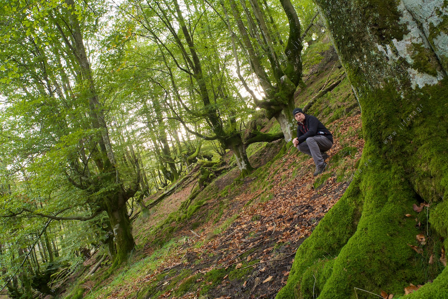 autoretrato del fotógrafo de Barakaldo, Javier López en el hayedo de Itxina, parque natural de Gorbeia