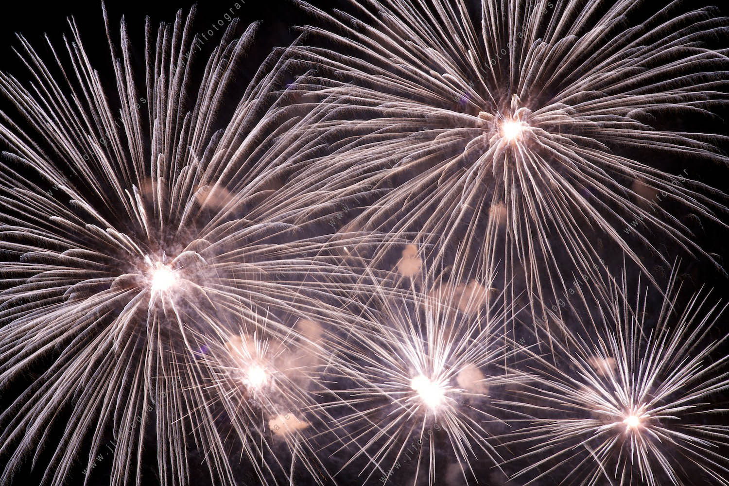 Fotografía de fuegos artificiales de la semana grande de fiestas de Bilbao, detalle de fuegos varias palmeras blancas