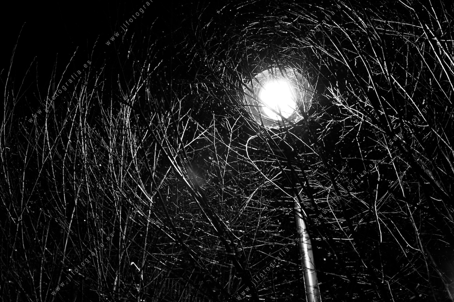 Fotografía para el tema farola, en el rally nocturno Gautxori de Azpeitia.