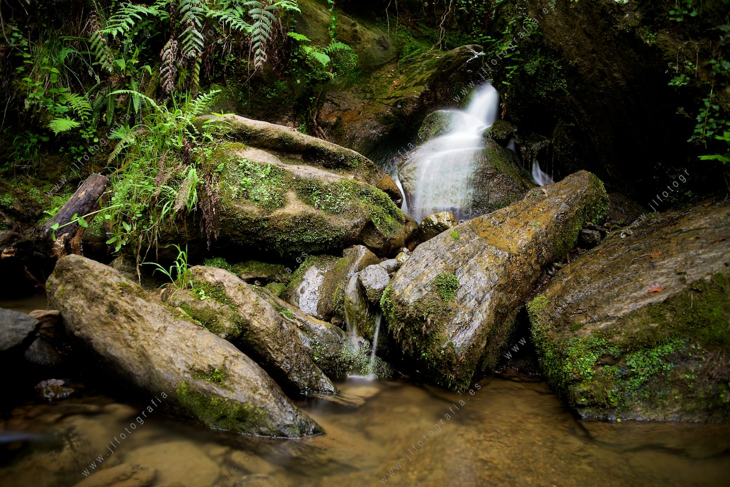 arroyo en El regato.