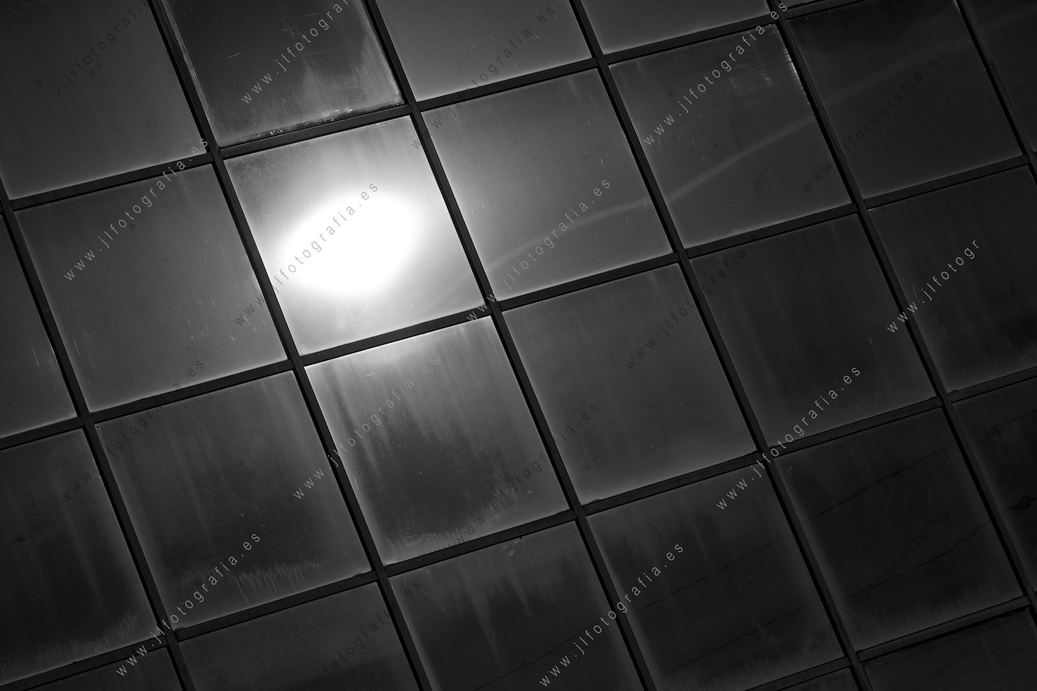 Juego de alto contraste en blanco y negro.